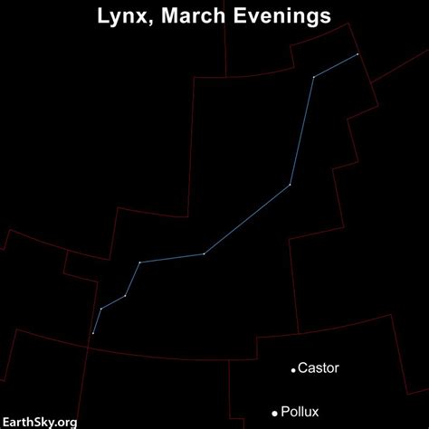 Meet the constellation Lynx, overhead in March