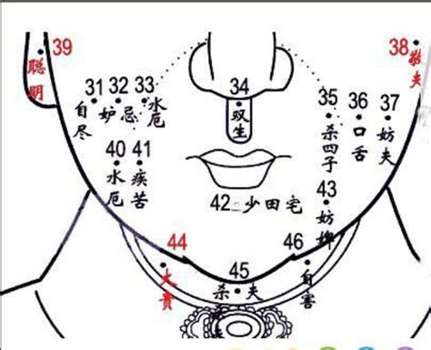 手上痣相学 有来医生