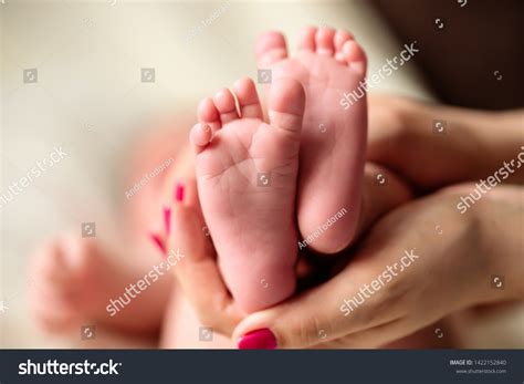 Newborn Baby Legs Mother Palms Stock Photo Shutterstock