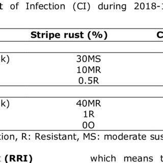 Response Of Wheat Hybrids And Local Check Varieties To Stripe Rust SR