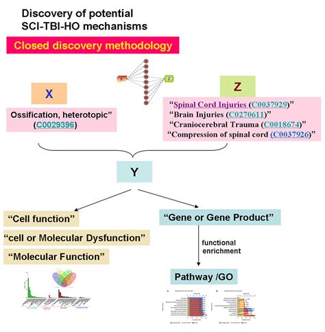 Identification Of Biological Pathways And Genes Associated With Neurogenic Heterotopic