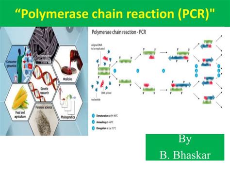 PCR applications.pptx