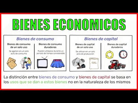 Descubre los tipos de bienes más importantes una guía completa para