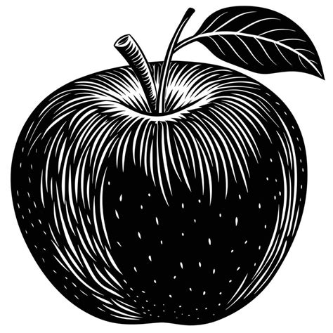 A Apple Silhouette illustration 45659078 Vector Art at Vecteezy