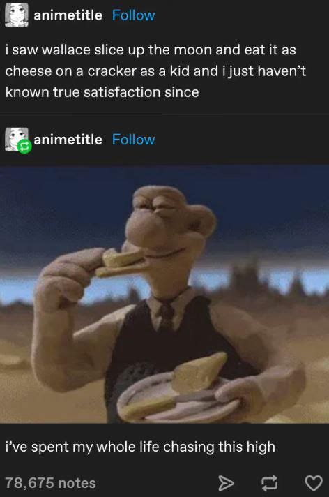 Wallace and Gromit Moon Cheese | Funny memes, Funny relatable memes ...