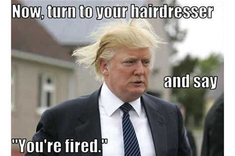 Presidential Heir Apparent Donald Trump—Funniest Hair Memes! - Popdust