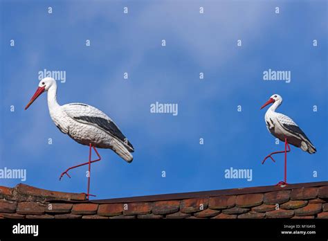 White Stork Figures On A Roof Ribeauvillé Alsace France Stock Photo