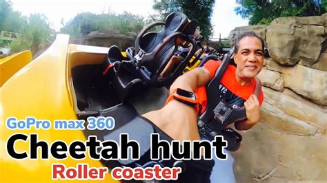 GoPro Max 360 Cheetah Hunt Roller Coaster Front Row Seat At Busch