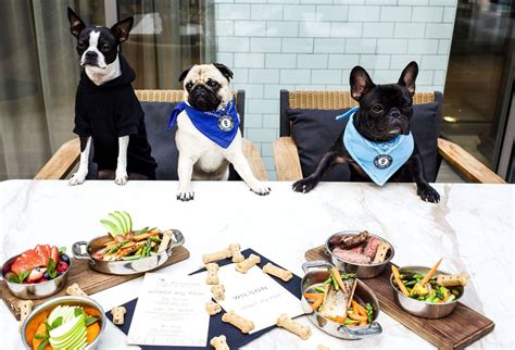 Dine With Your Dog Manhattan Restaurant Offers New Puppy Friendly Menu