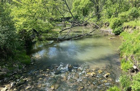 10 Best Hikes And Trails In Mono Cliffs Provincial Park Alltrails