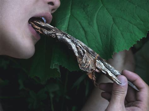 2021 木（食）人 Tree Eating Man — Jukan Tateisi｜立石従寛