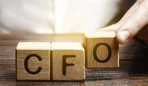 chief financial officer job description salary guide cfo search firm