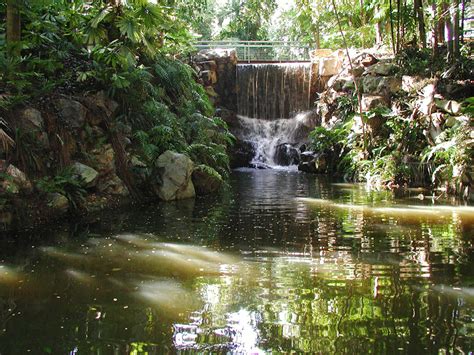 NixPixMix: DARWIN BOTANIC GARDENS, AUSTRALIA