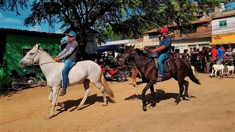 Feira De Cavalo Em Bezerros Pe Cavalos Baratos Hoje Youtube