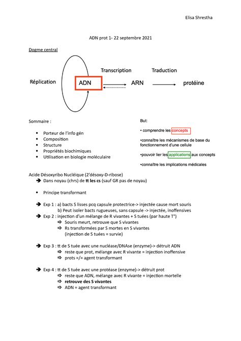 Adn Prot Cours De L Adn La Prot Ine De Dominique Garcin