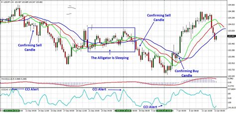 Williams Alligator Strategy Alligator Indicator Settings IFCM