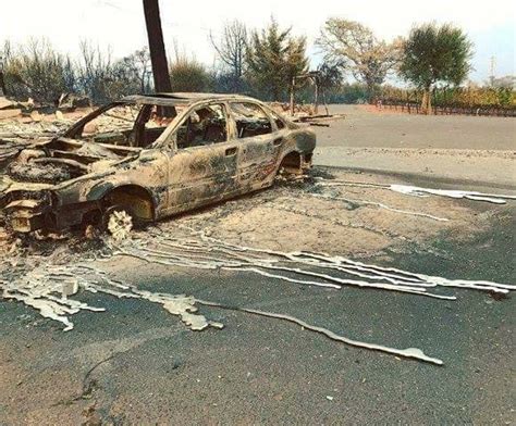 California Fires Cars Melt While Leaves On Nearby Trees Are Untouched