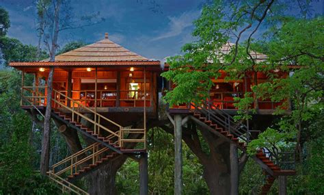 10 Treehouses In South India That’ll Bond You With Nature’s Mystique