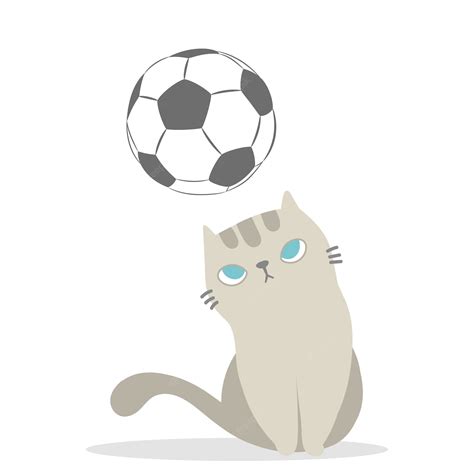 Playying Football Cats