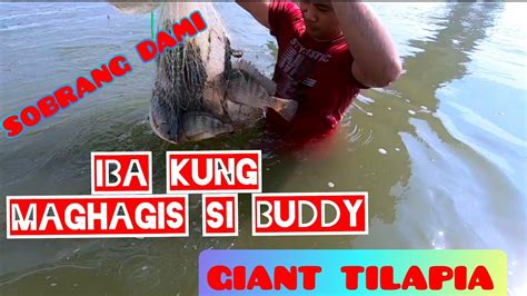 Traditional Fishing Paghahagis Ng Lambat Dala Sa Ilog