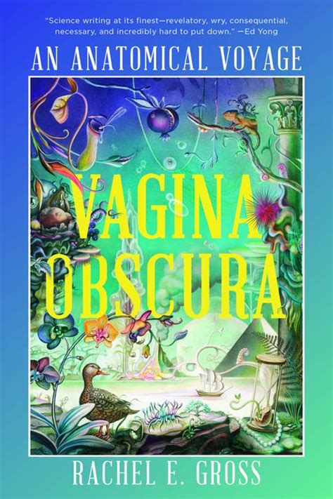 Vagina Obscura Chapter Summary Rachel E Gross