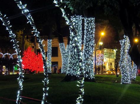 26 Imágenes Del Alumbrado De Navidad En Bogotá Decoración Exterior Navidad Alumbrado Navideño