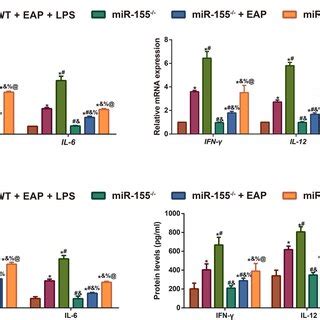 Expression Of Inflammatory Factors Il Tnf Il Ifn Il