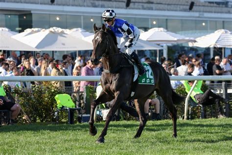 Melbourne Cup 2022 Field Horses Form Guide And Finishing Order Abc