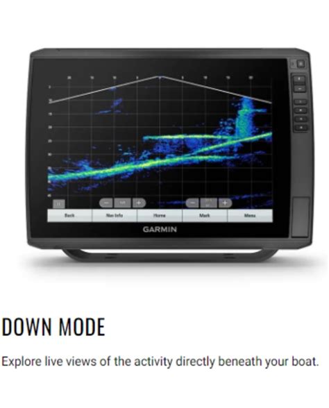 Garmin Panoptix Livescope Plus System