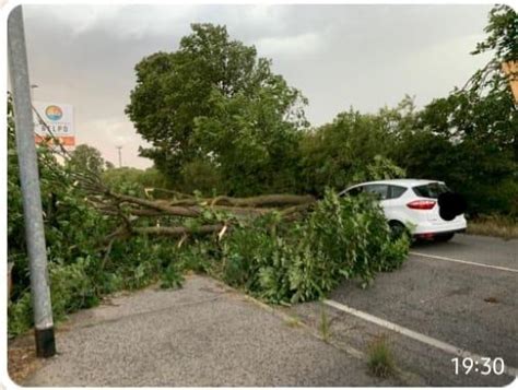 Maltempo Nel Lodigiano Alberi Caduti Per Il Temporale