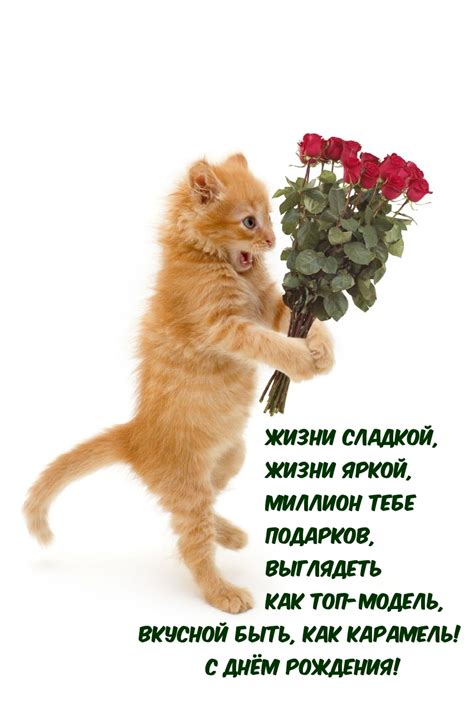 Картинки с надписью - С Днём Рождения! Жизни сладкой, жизни яркой.