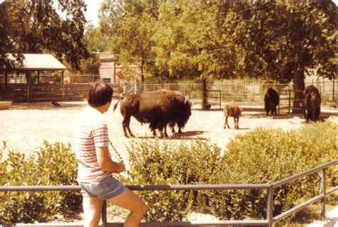 Zoo Tails: Vintage Zoo Pictures: Denver Zoo 1979