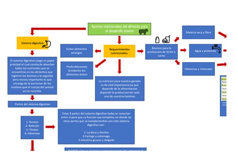 Mapa Conceptual Bovino Pdf Porn Sex Picture