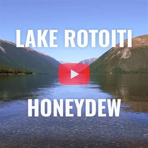 The Honeydew Walk Lake Rotoiti New Zealand Lifeform