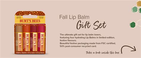 Burts Bees Lip Balm Gift Set Chai Tea Pumpkin Spice Vanilla Maple