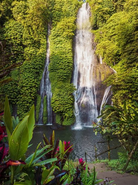 Cozy Waterfall And Exotic Plants In Tropics Jungle Cascade Waterfall