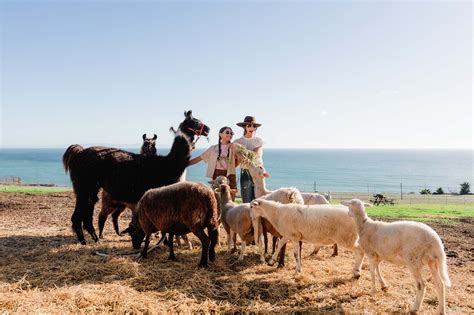 Celebrate The Unexpected Visit Santa Barbara