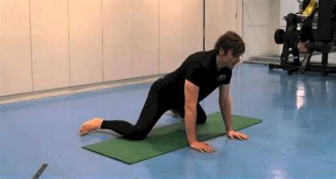 Frog Stretch Adductor Groin Flexibility For Inner Thighs Video Demo