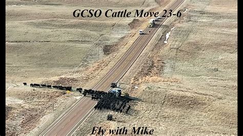 GCSO Cattle Move 23 6 Fly With Mike YouTube