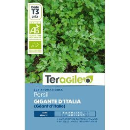 Graines Persil G Ant Italie Bio Point Vert Est