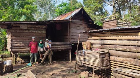 Kisah Sedih Satu Keluarga Tinggal Di Gubuk Tengah Hutan YouTube