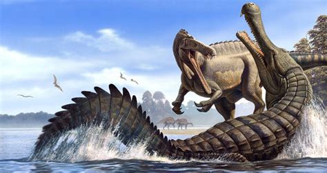 Researchers Identify Ancient 'Terror Crocodile' With Banana-Sized Teeth