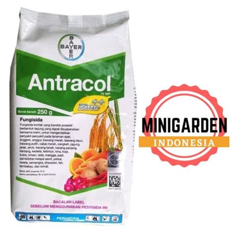 Jual Fungisida Antracol Gram Antracol Wp Zinc Obat Pengendali