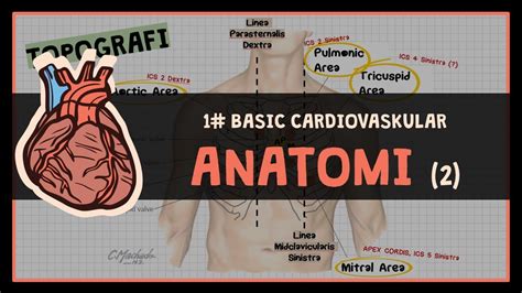 22 Anatomi Sistem Konduksi And Vaskular Jantung Dan Topografi 1