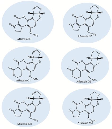 Aflatoxins Characteristics Health Issues And Decontamination