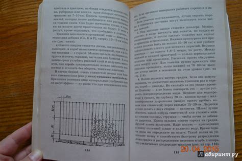 Книга: Умный огород в деталях - Николай Курдюмов. Купить книгу, читать ...