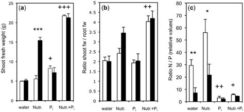 Shoot Weight Shootroot Ratio And Np Ratio As Indicators Of