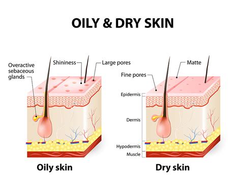 5 Quick Tips On Moisturising Oily Skin Living Nature