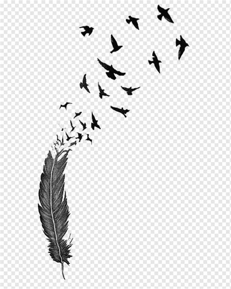 Feather Drawing Black And White Tattoo