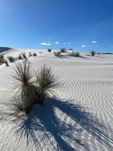 8 Weird & Interesting Facts About White Sands National Park